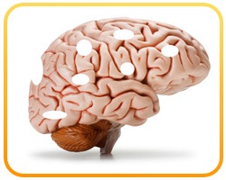 el peor alimento que dana tu cerebro